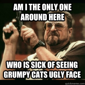 Am i the only one around here Who is sick of seeing grumpy cats ugly face - Am i the only one around here Who is sick of seeing grumpy cats ugly face  Misc