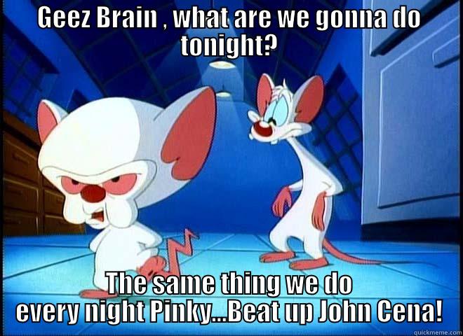 GEEZ BRAIN , WHAT ARE WE GONNA DO TONIGHT? THE SAME THING WE DO EVERY NIGHT PINKY...BEAT UP JOHN CENA! Misc