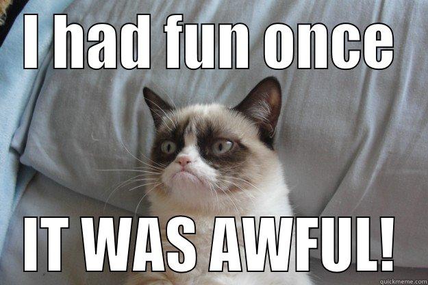 I HAD FUN ONCE IT WAS AWFUL! Grumpy Cat