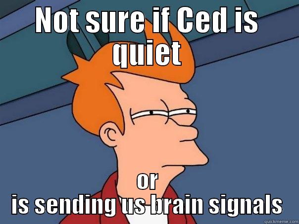 NOT SURE IF CED IS QUIET OR IS SENDING US BRAIN SIGNALS Futurama Fry