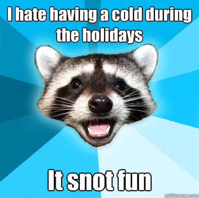 I hate having a cold during the holidays It snot fun  Lame Pun Coon
