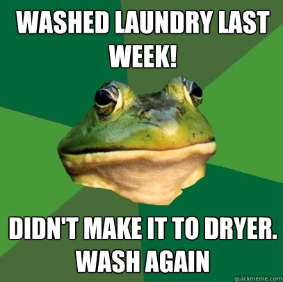 WASHED LAUNDRY LAST WEEK! DIDN'T MAKE IT TO DRYER. WASH AGAIN  Foul Bachelor Frog