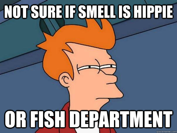 NOT SURE IF SMELL IS HIPPIE OR FISH DEPARTMENT  Futurama Fry