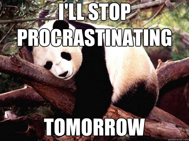 i'll stop procrastinating tomorrow - i'll stop procrastinating tomorrow  Procrastination Panda