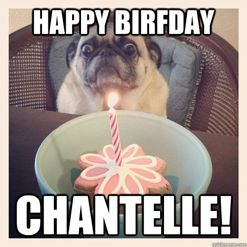 Happy Birfday Chantelle! - Happy Birfday Chantelle!  Birthday Pug