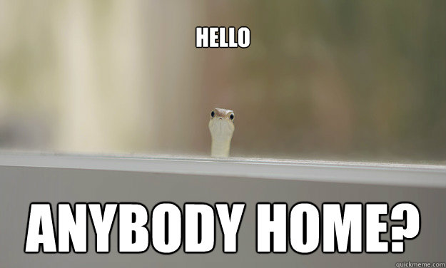 Hello Anybody Home? - Hello Anybody Home?  Anybody Home