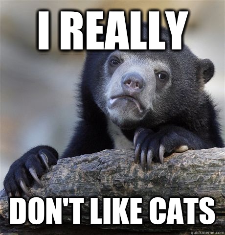 I really Don't like cats  Confession Bear