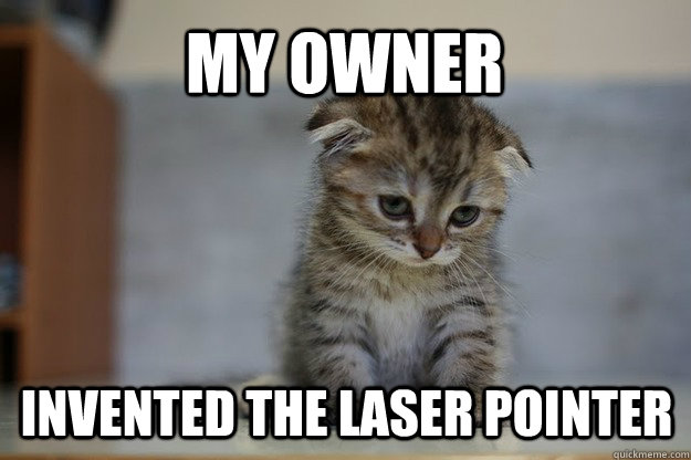 my owner invented the laser pointer  Sad Kitten