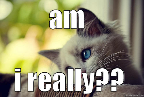 AM  I REALLY?? First World Problems Cat