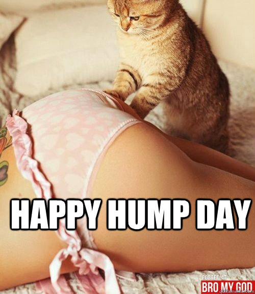 happy hump day - happy hump day  hump day