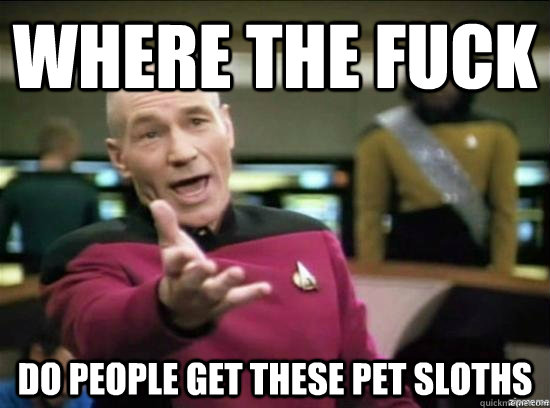 Where the fuck do people get these pet sloths  Annoyed Picard HD