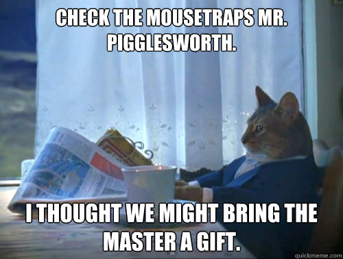 Check the mousetraps Mr. Pigglesworth.  I thought we might bring the master a gift.   The One Percent Cat