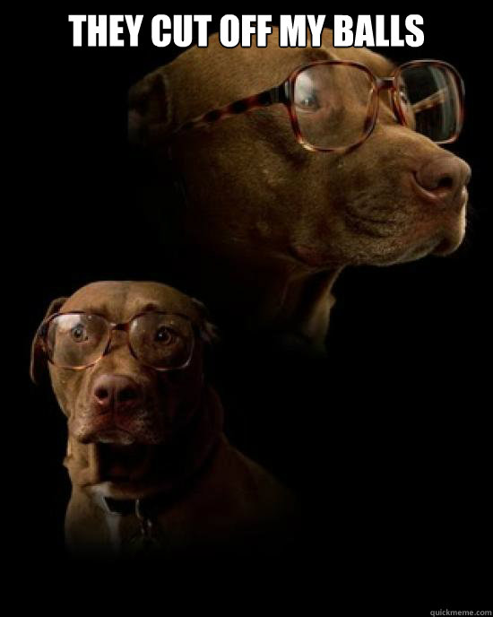 they cut off my balls   Karate Kyle Dog