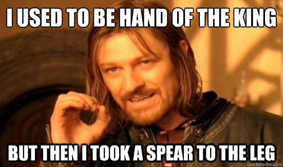 I used to be hand of the King But then I took a spear to the leg  Boromir