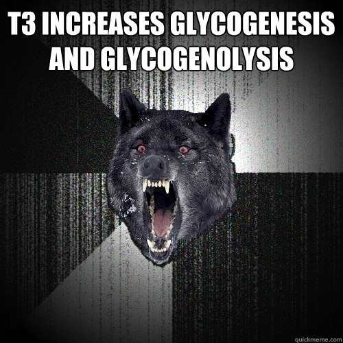 T3 increases glycogenesis and glycogenolysis   Insanity Wolf