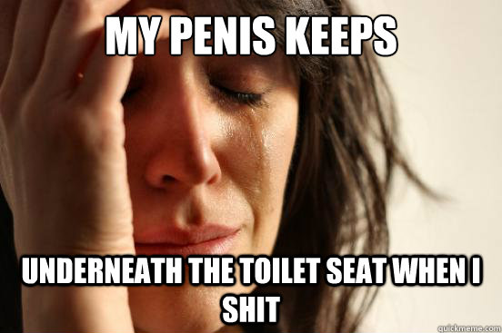 My penis keeps touching underneath the toilet seat when i shit  First World Problems