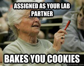 assigned as your lab partner bakes you cookies  Senior College Student
