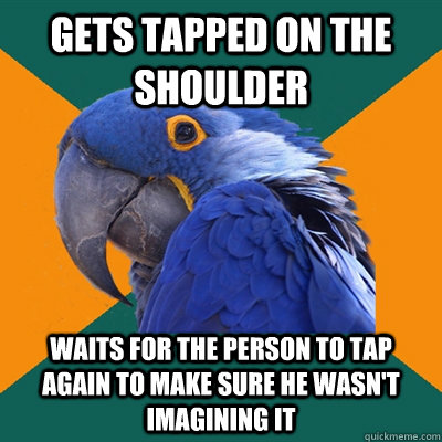 gets tapped on the shoulder waits for the person to tap again to make sure he wasn't imagining it - gets tapped on the shoulder waits for the person to tap again to make sure he wasn't imagining it  Paranoid Parrot