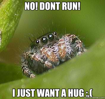 NO! DONT RUN! I JUST WANT A HUG :,(  Misunderstood Spider