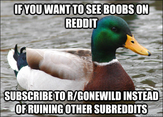 If you want to see boobs on Reddit Subscribe to r/gonewild instead of ruining other subreddits  Actual Advice Mallard