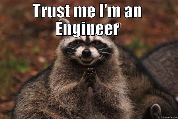 TRUST ME I'M AN ENGINEER  Evil Plotting Raccoon