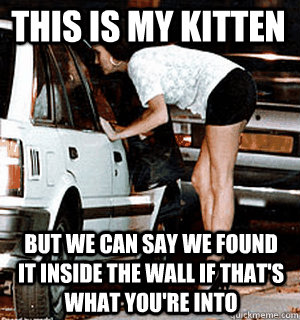 This is my kitten But we can say we found it inside the wall if that's what you're into  Karma Whore