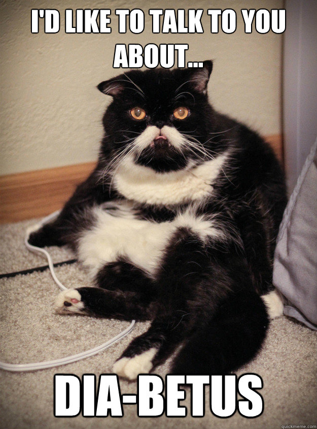 I'd like to talk to you about... Dia-Betus - I'd like to talk to you about... Dia-Betus  Wilford Cat