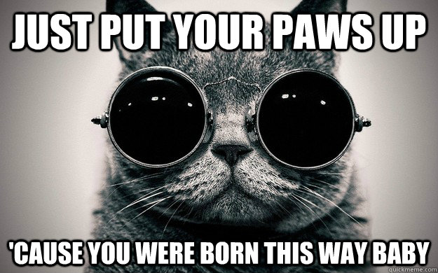 Just put your paws up 'cause you were born this way baby  Morpheus Cat Facts