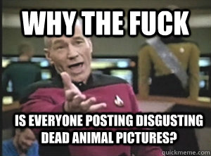 why the fuck is everyone posting disgusting dead animal pictures?  Annoyed Picard