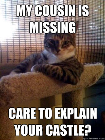 My cousin is missing care to explain your castle?  The Most Interesting Cat in the World