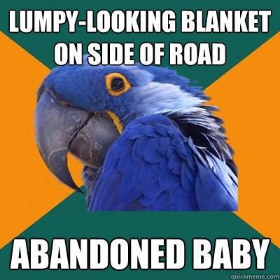 Lumpy-looking blanket on side of road Abandoned baby  Paranoid Parrot