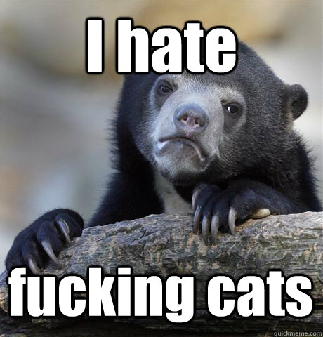 I hate fucking cats - I hate fucking cats  Confession Bear