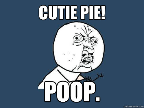 cutie pie! poop.  Y U No