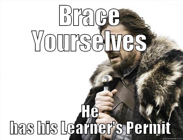 BRACE YOURSELVES HE HAS HIS LEARNER'S PERMIT Misc