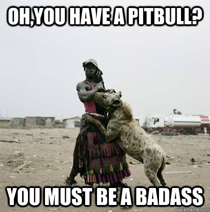 oh,you have a pitbull? you must be a badass  