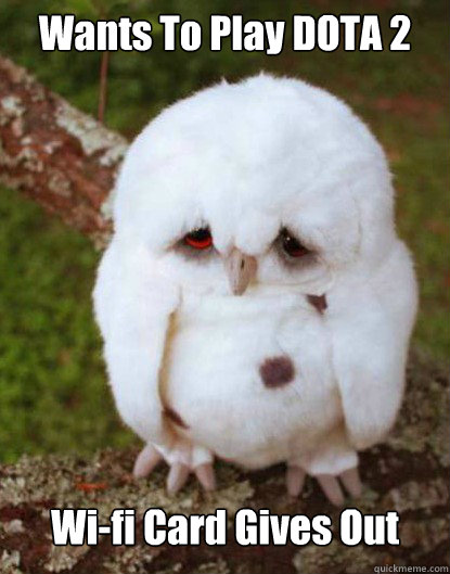 Wants To Play DOTA 2 Wi-fi Card Gives Out  Depressed Owl