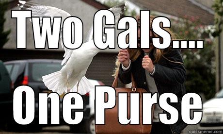 TWO GALS.... ONE PURSE Misc