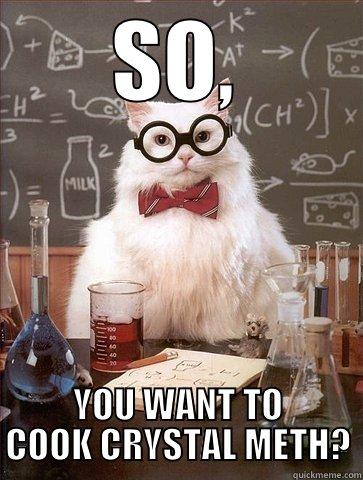 SO, YOU WANT TO COOK CRYSTAL METH? Chemistry Cat