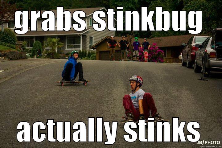 GRABS STINKBUG ACTUALLY STINKS Misc