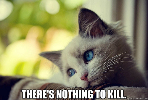 there's nothing to kill.  First World Problems Cat