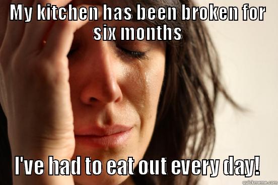 MY KITCHEN HAS BEEN BROKEN FOR SIX MONTHS I'VE HAD TO EAT OUT EVERY DAY! First World Problems