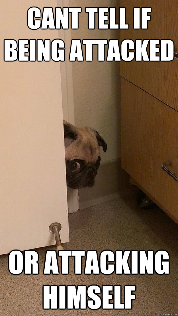 cant tell if being attacked or attacking himself  