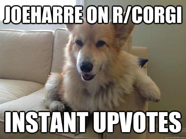 joeharre on r/corgi instant upvotes  