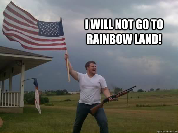 I will not go to Rainbow Land! - I will not go to Rainbow Land!  The Campaign