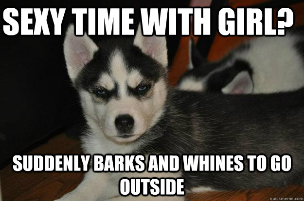 Sexy time with girl? Suddenly barks and whines to go outside  