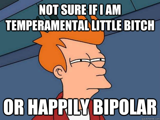 Not sure if I am temperamental little bitch or happily bipolar  Futurama Fry