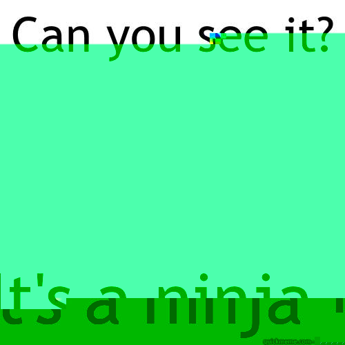 Can you see it? It's a ninja  Meme