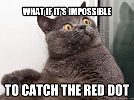 what if it's impossible to catch the red dot - what if it's impossible to catch the red dot  conspiracy cat