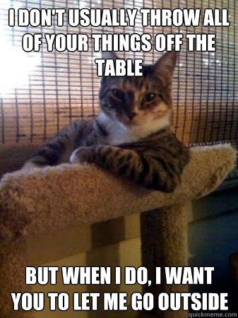 I don't usually throw all of your things off the table but when I do, I want you to let me go outside  The Most Interesting Cat in the World