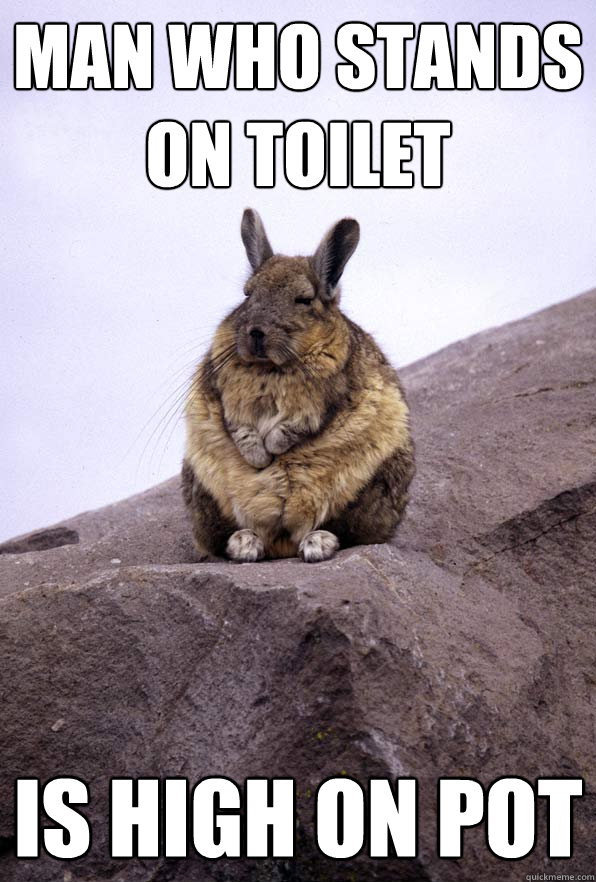 Man who stands on toilet is high on pot - Man who stands on toilet is high on pot  Wise Wondering Viscacha